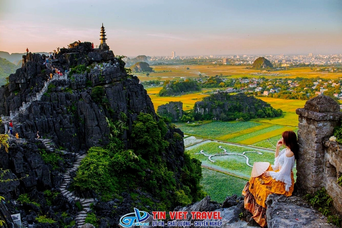 Toàn cảnh Tam Cốc nhìn từ đỉnh Hang Múa với cánh đồng lúa chín vàng