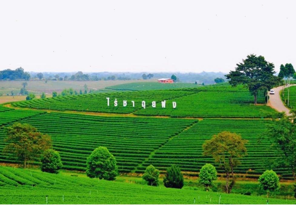 Toàn cảnh thành phố Chiang Mai Thái Lan với những ngọn núi xanh rì bao quanh