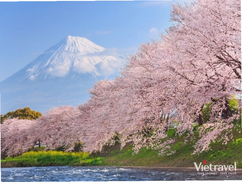 Toàn cảnh thành phố Tokyo nhìn từ Tháp Tokyo