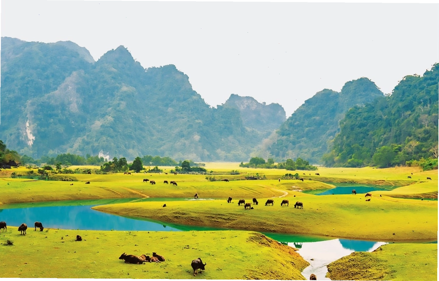 Toàn cảnh Thảo nguyên Đồng Lâm với hồ nước và cảnh quan núi đá bao quanh