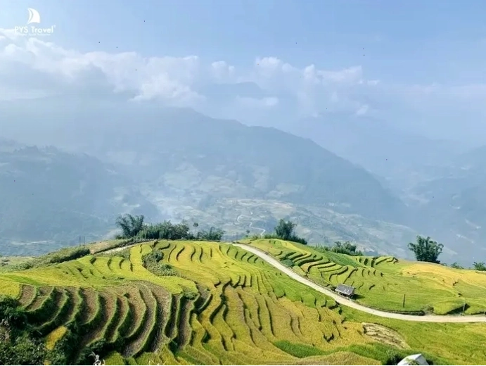 Toàn cảnh thung lũng Y Tý với những thửa ruộng bậc thang xanh mướt