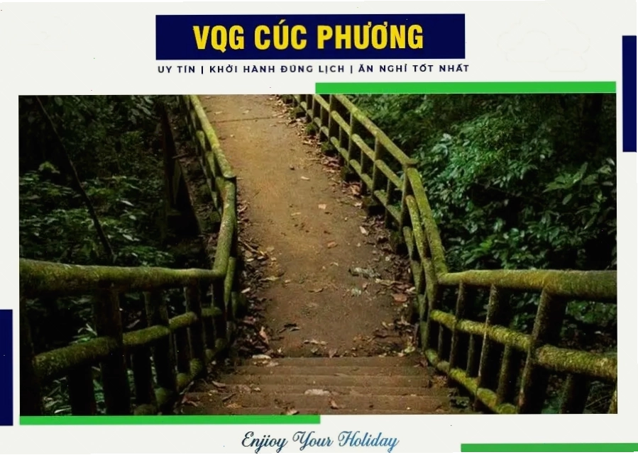 Toàn cảnh Vườn Quốc gia Cúc Phương với những dãy núi đá vôi trùng điệp