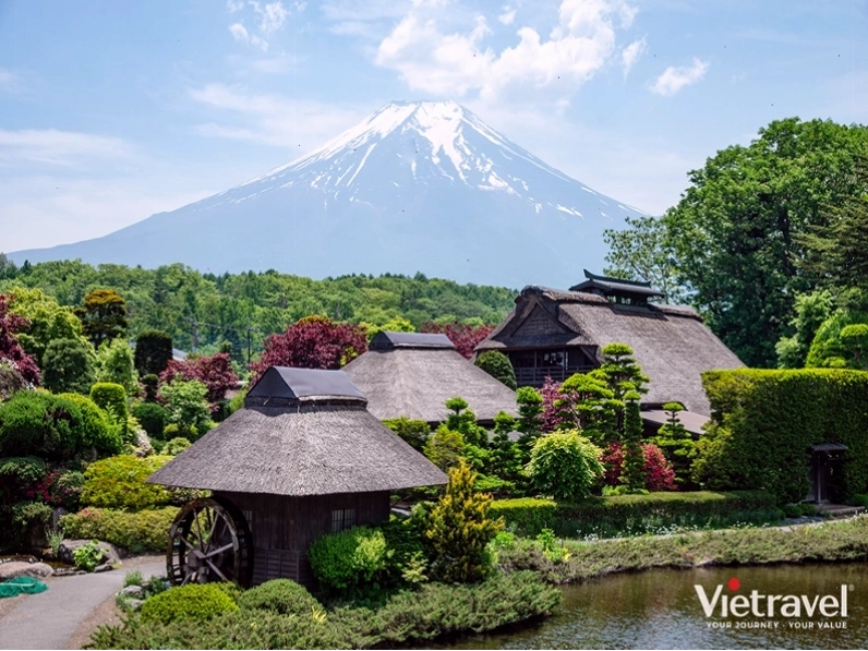Tokyo – Núi Phú Sĩ – Kyoto – Kobe – Osaka - Hành trình khám phá mùa thu Nhật Bản