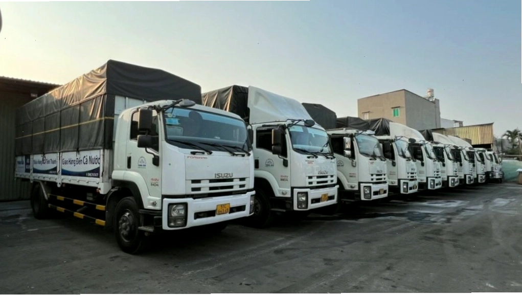 Tổng quan dịch vụ vận chuyển hàng hóa Bình Dương