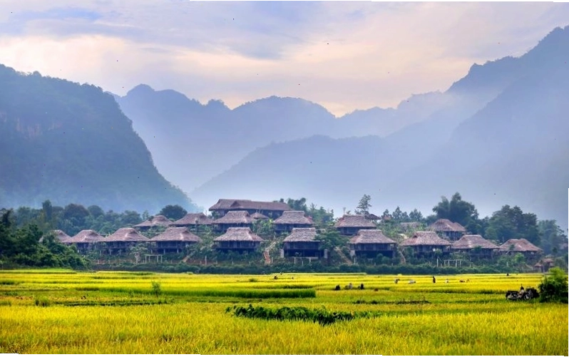 Tổng quan Mai Châu Ecolodge Hòa Bình với không gian xanh mát