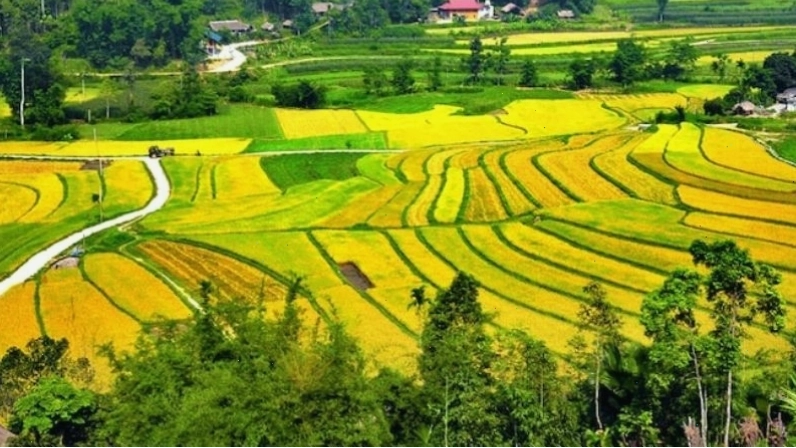 Tổng quan về Chiêm Hóa với cảnh quan núi rừng hùng vĩ