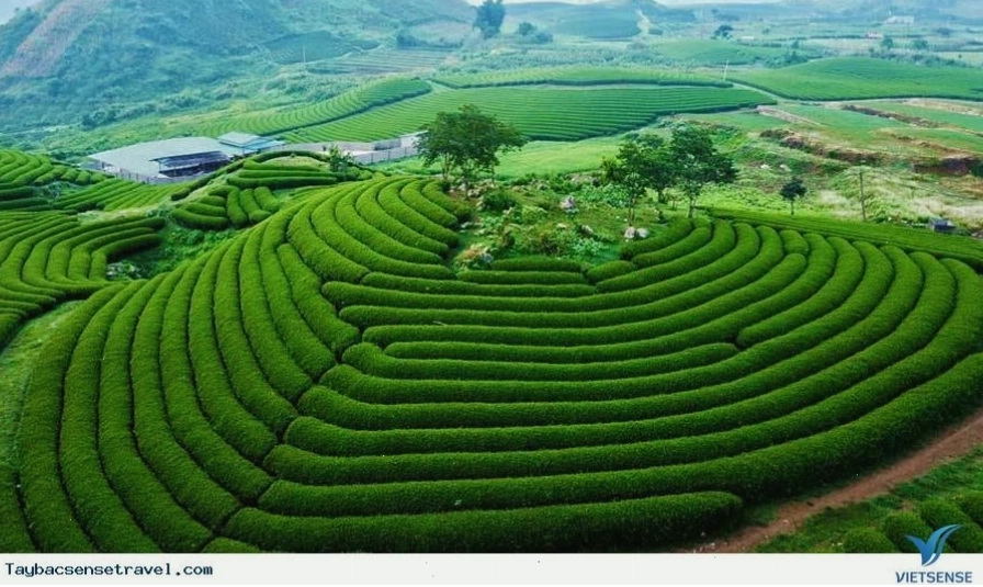 Tổng quan về du lịch Mộc Châu Ba Vì