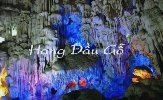 Tổng quan về Hang Đầu Gỗ trên Vịnh Hạ Long