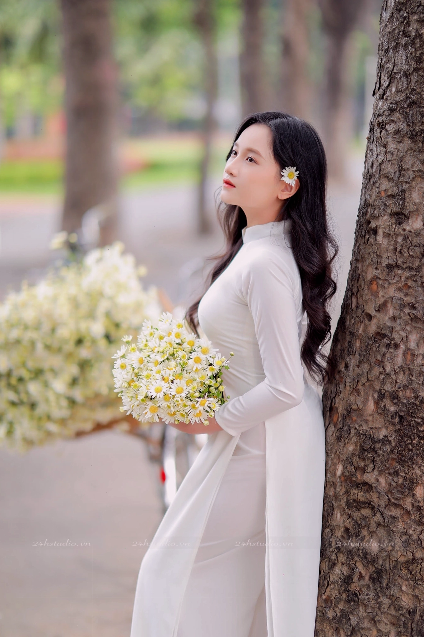 Tổng quan về Hoa Viên Cúc Linh