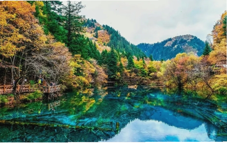 Tour mùa thu vàng Trùng Khánh - Cửu Trại Câu