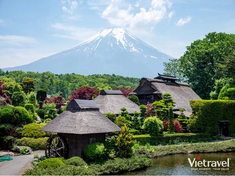 Tour Nhật Bản kết hợp Tokyo, Núi Phú Sĩ, Kyoto, Osaka
