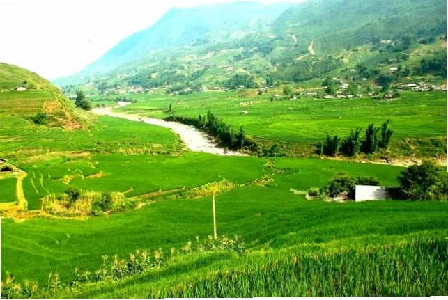 Tour trekking Sapa và homestay 3 ngày 2 đêm