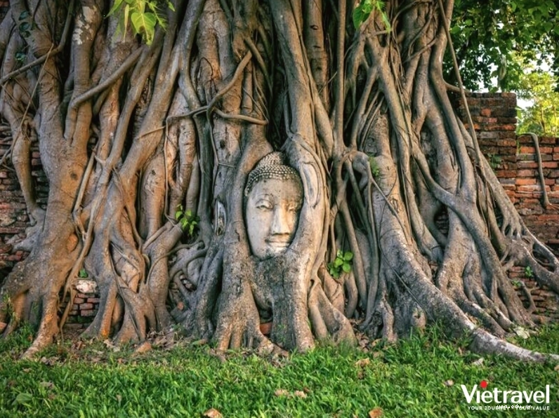 Trải nghiệm ẩm thực đường phố Thái Lan