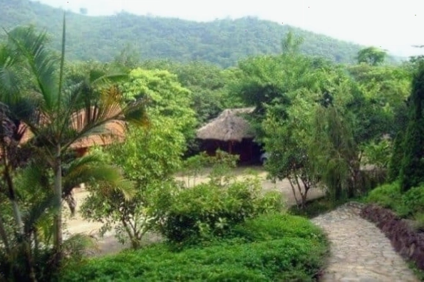 Trải nghiệm các dịch vụ tại Khu du lịch sinh thái Cọ Xanh