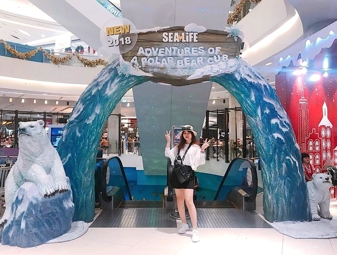 Trải nghiệm chạm vào các sinh vật biển tại khu Rock Pool