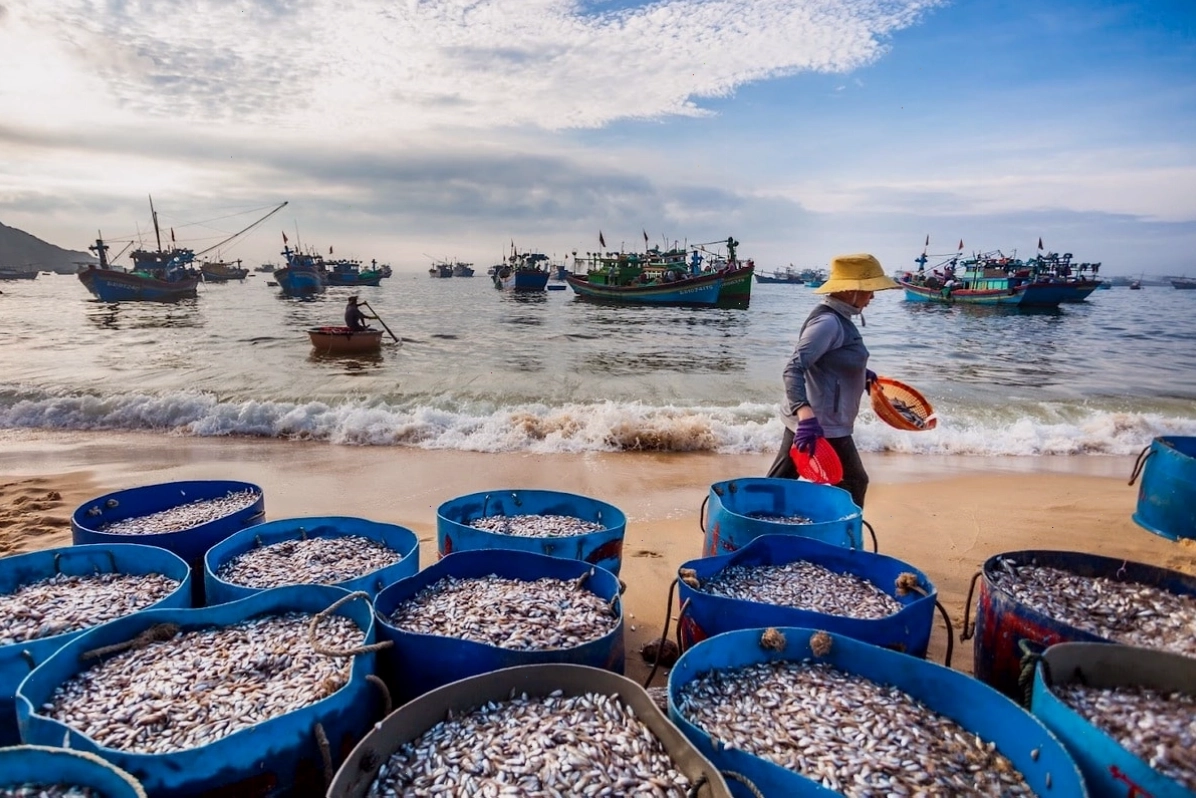 Trải nghiệm chèo thuyền thúng và gỡ lưới cùng ngư dân tại Làng chài Nhơn Hải