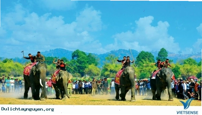 Trải nghiệm cưỡi voi truyền thống tại Tây Nguyên