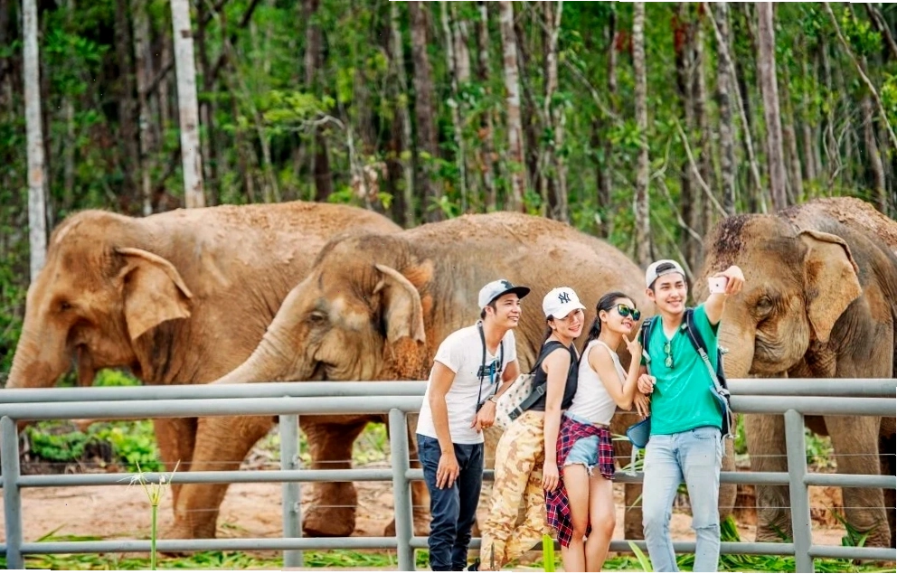Trải nghiệm hái cam tại trang trại Orfarm Măng Đen