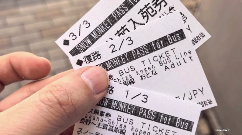 Trải nghiệm Hokuriku Shinkansen khi di chuyển tới Nagona