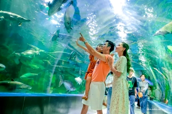 Trải nghiệm làm nông tại Nông trại Chimi Farm