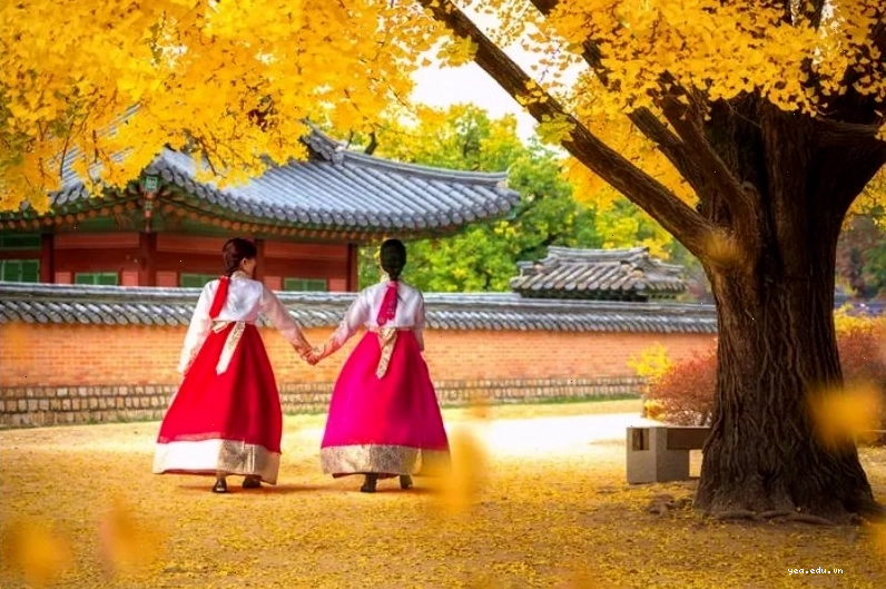 Trải nghiệm mặc Hanbok dạo bước dưới trời thu Hàn Quốc