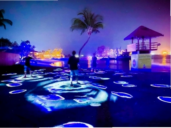 Trải nghiệm nghệ thuật ánh sáng tại Magical Shores, Sentosa