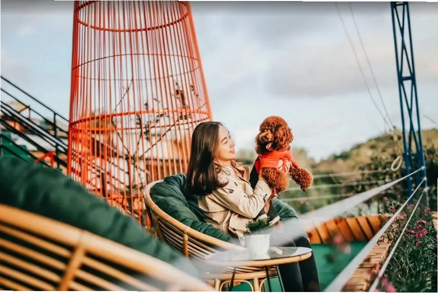 Trải nghiệm staycation tại các căn hộ cao cấp