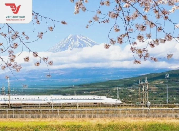 Trải nghiệm tàu Shinkansen như thế nào