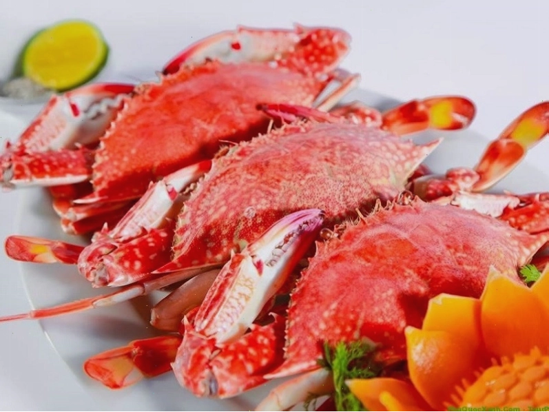 Trải nghiệm thủy cung VinWonders Phú Quốc với đa dạng sinh vật biển