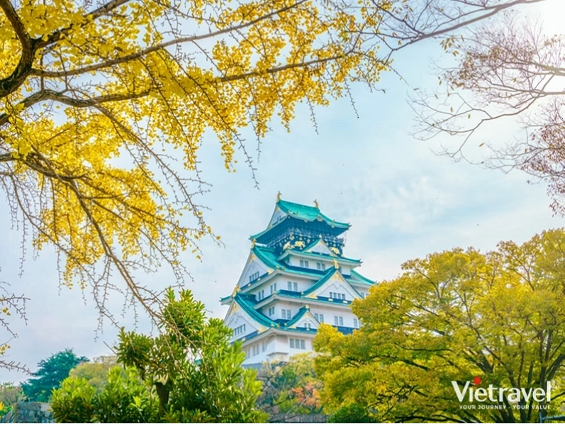 Trải nghiệm văn hóa Nhật Bản trong tour