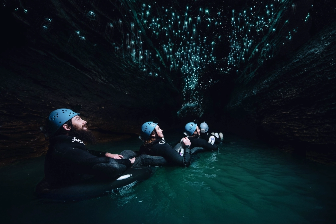 Trần hang động Waitomo New Zealand được chiếu sáng bởi hàng ngàn con đom đóm