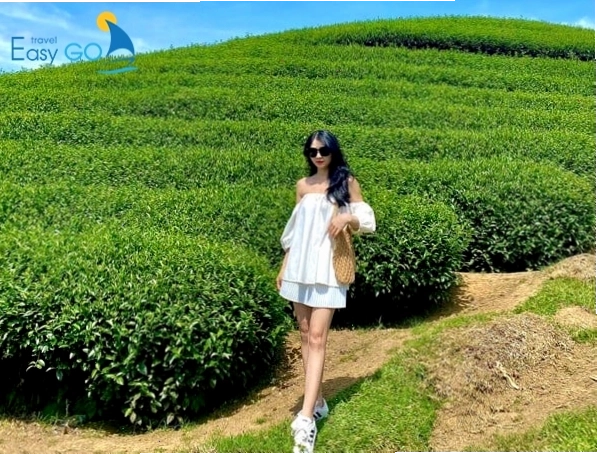 Trang phục năng động, trẻ trung cho mọi hoạt động tại Mộc Châu