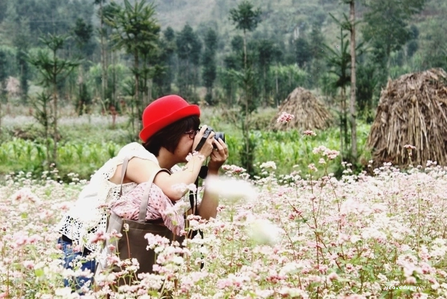 Trẻ em Hà Giang hồn nhiên vui đùa trên nương ngô