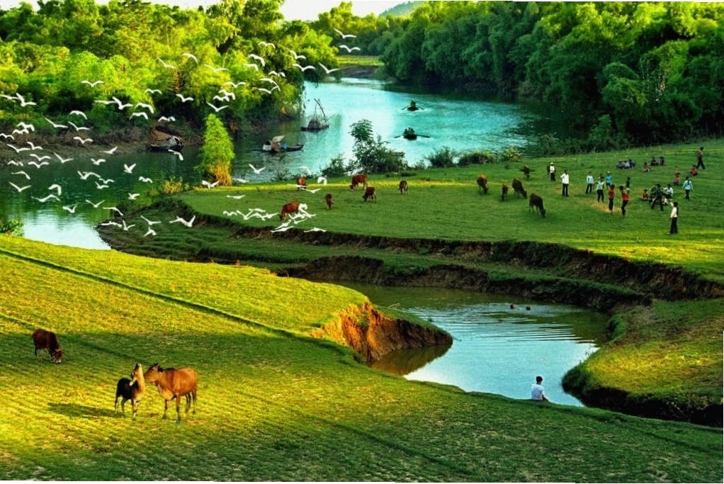 Trẻ em nô đùa trên đồng quê