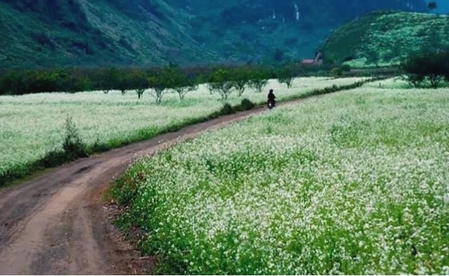 Trẻ em vui chơi ngày Tết
