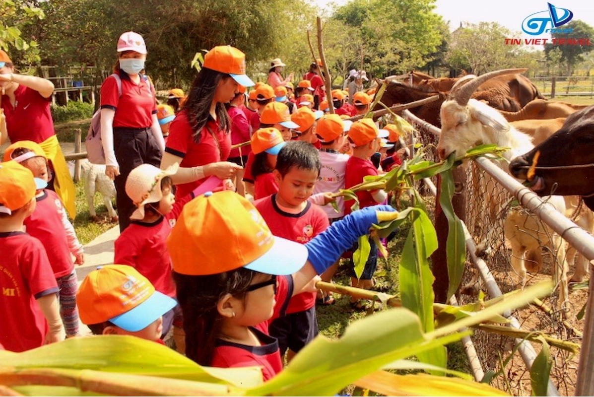 Trẻ em vui chơi tại khu vực hồ bơi Làng Xì Trum
