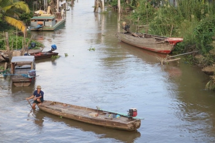 Trẻ em vui đùa trên những cánh đồng lúa xanh mướt