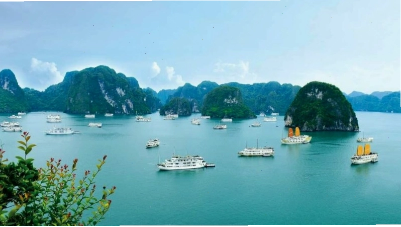 Trẻ em vùng quê Việt Nam vui đùa bên dòng sông