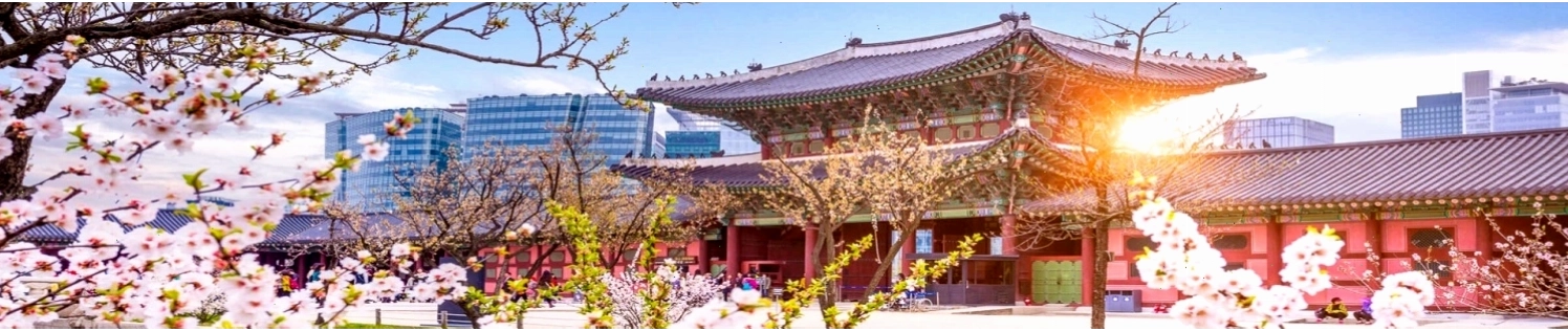 Tư vấn thuê nhà ở Hàn Quốc