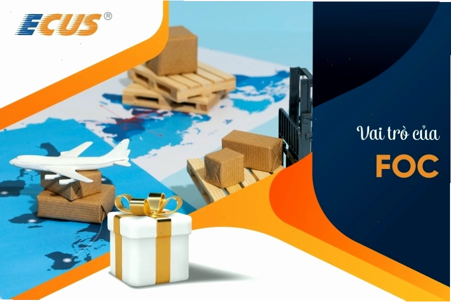 Vai trò quan trọng của FOC trong hoạt động xuất nhập khẩu