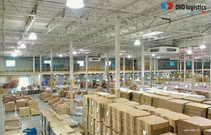 Vận chuyển hàng đường biển từ Mỹ về Việt Nam tiết kiệm chi phí