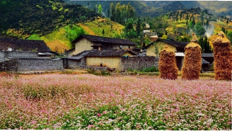 Vẻ đẹp bình dị của Thung lũng Sủng Là