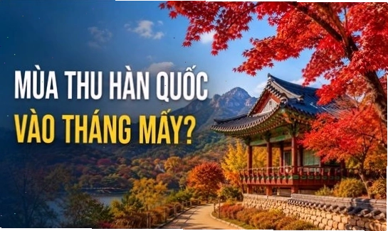 Vẻ đẹp bình yên của thảo nguyên Mông Cổ