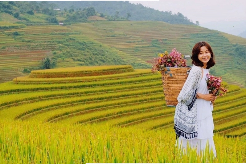 Vẻ đẹp của Hoàng Su Phì mùa lúa chín