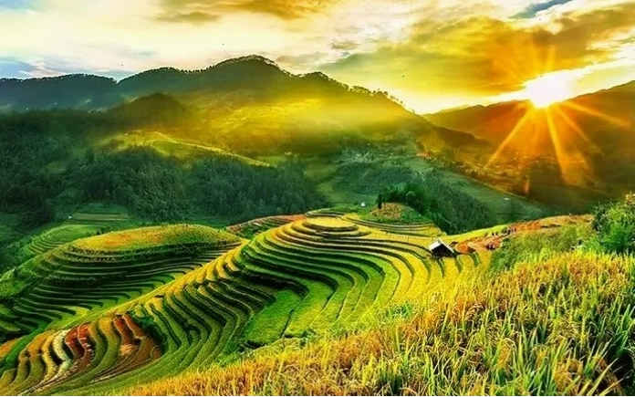 Vẻ đẹp của ruộng bậc thang Mù Cang Chải với những đường cong mềm mại