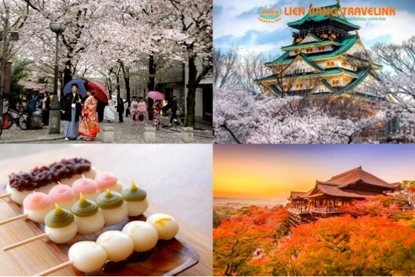 Vẻ đẹp hùng vĩ của núi Phú Sĩ vào một buổi sáng sớm