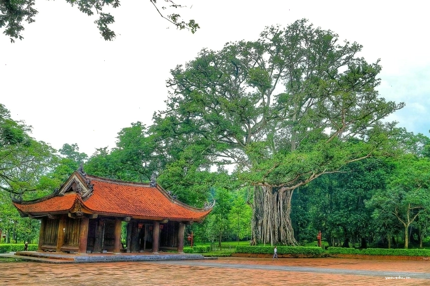 Vẻ đẹp hùng vĩ của Pù Luông với ruộng bậc thang và núi rừng trùng điệp