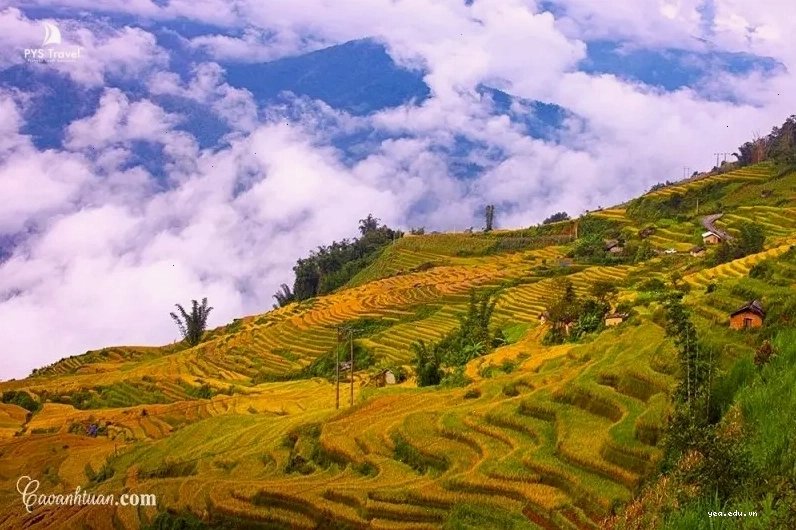 Vẻ đẹp hùng vĩ của Y Tý trong mây