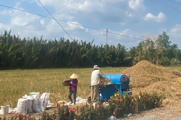 Vẻ Đẹp Hút Hồn Của Cánh Đồng Quê Miền Tây: Khám Phá Vẻ Đẹp Nguyên Sơ