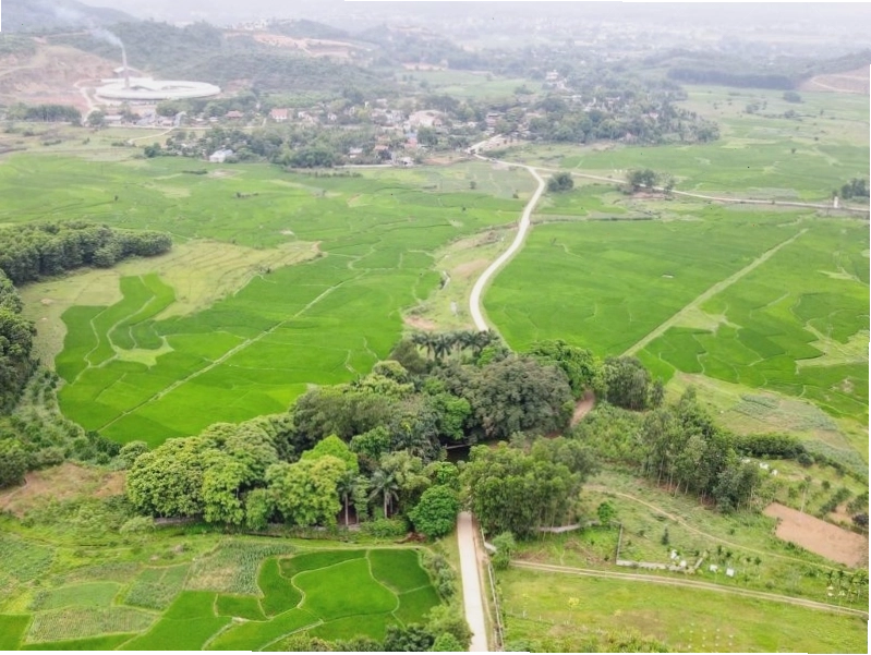 Vẻ đẹp huyền ảo của nhũ đá bên trong Động Đá Bạc Lương Sơn Hòa Bình